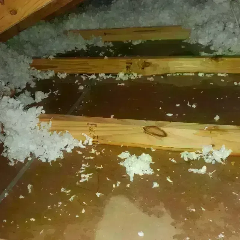 Attic Water Damage in Nelson County, ND